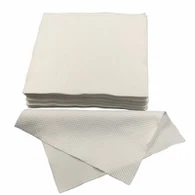 Klassi 100 Żewġ Saffi Cleanroom Wipes